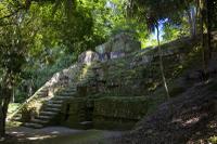 TIKAL - PALACIO DE LAS VENTANAS